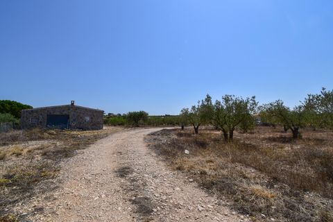 Landejendom i Onil, Alicante, Onil - € 478.000 | Ref: JD254 - foto 10