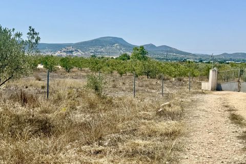 Landejendom i Onil, Alicante, Onil - € 478.000 | Ref: JD254 - foto 11