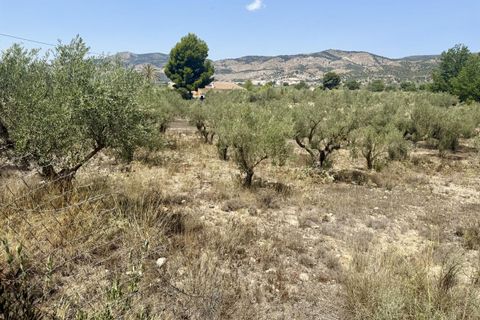 Landejendom i Onil, Alicante, Onil - € 478.000 | Ref: JD254 - foto 12