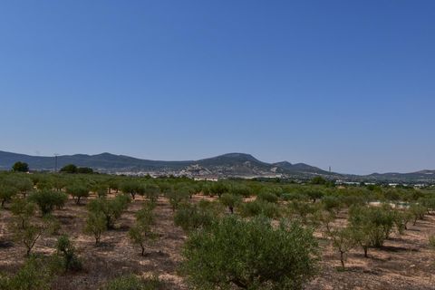 Landejendom i Onil, Alicante, Onil - € 478.000 | Ref: JD254 - foto 13