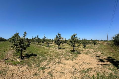 Helårsgrund i Bombarral, Leiria, Bombarral - € 120.000 | Ref: F00218 - foto 19