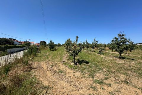 Helårsgrund i Bombarral, Leiria, Bombarral - € 120.000 | Ref: F00218 - foto 20