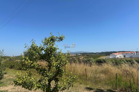 Helårsgrund i Bombarral, Leiria, Bombarral - € 120.000 | Ref: F00218 - foto 21