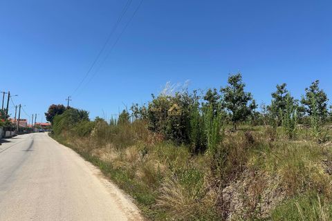 Helårsgrund i Bombarral, Leiria, Bombarral - € 120.000 | Ref: F00218 - foto 22
