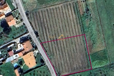 Helårsgrund i Bombarral, Leiria, Bombarral - € 120.000 | Ref: F00218 - foto 25