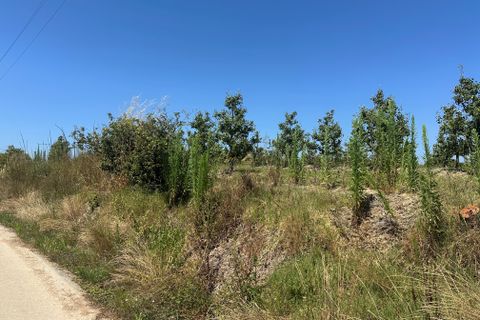 Helårsgrund i Bombarral, Leiria, Bombarral - € 120.000 | Ref: F00218 - foto 28