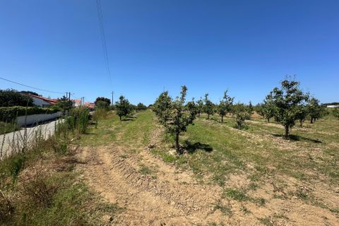 Helårsgrund i Bombarral, Leiria, Bombarral - € 120.000 | Ref: F00218 - foto 29