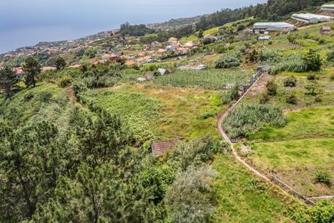Helårsgrund i Ponta do Sol, Madeira, Ponta do Sol - € 125.000 | Ref: KWPT-019339 - foto 3