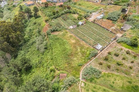 Helårsgrund i Ponta do Sol, Madeira, Ponta do Sol - € 125.000 | Ref: KWPT-019339 - foto 5
