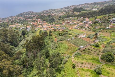 Helårsgrund i Ponta do Sol, Madeira, Ponta do Sol - € 125.000 | Ref: KWPT-019339 - foto 6