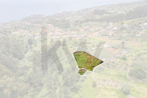 Helårsgrund i Ponta do Sol, Madeira, Ponta do Sol - € 125.000 | Ref: KWPT-019339 - foto 7