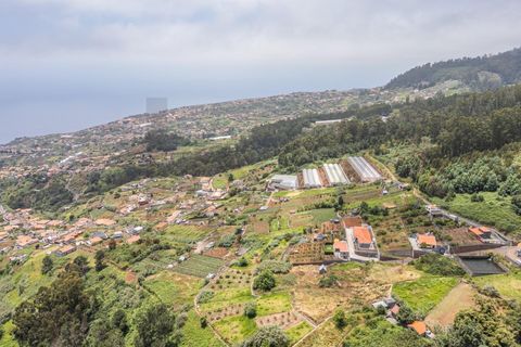 Helårsgrund i Ponta do Sol, Madeira, Ponta do Sol - € 125.000 | Ref: KWPT-019339 - foto 9