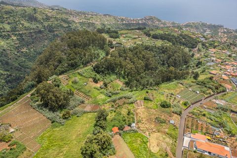 Helårsgrund i Ponta do Sol, Madeira, Ponta do Sol - € 125.000 | Ref: KWPT-019339 - foto 14