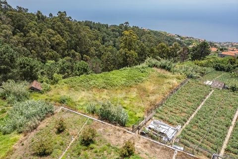 Helårsgrund i Ponta do Sol, Madeira, Ponta do Sol - € 125.000 | Ref: KWPT-019339 - foto 24