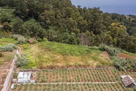Helårsgrund i Ponta do Sol, Madeira, Ponta do Sol - € 125.000 | Ref: KWPT-019339 - foto 25