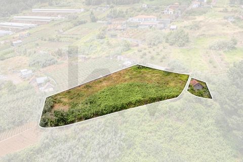 Helårsgrund i Ponta do Sol, Madeira, Ponta do Sol - € 125.000 | Ref: KWPT-019339 - foto 27