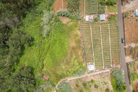 Helårsgrund i Ponta do Sol, Madeira, Ponta do Sol - € 125.000 | Ref: KWPT-019339 - foto 28