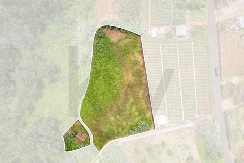 Helårsgrund i Ponta do Sol, Madeira, Ponta do Sol - € 125.000 | Ref: KWPT-019339 - foto 29