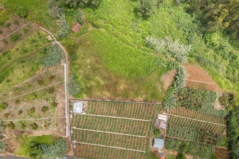 Helårsgrund i Ponta do Sol, Madeira, Ponta do Sol - € 125.000 | Ref: KWPT-019339 - foto 30