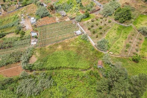 Helårsgrund i Ponta do Sol, Madeira, Ponta do Sol - € 125.000 | Ref: KWPT-019339 - foto 32