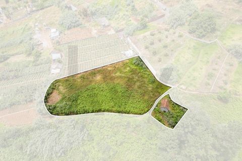 Helårsgrund i Ponta do Sol, Madeira, Ponta do Sol - € 125.000 | Ref: KWPT-019339 - foto 33