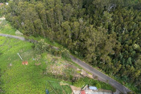 Helårsgrund i Calheta, Madeira, Calheta - € 325.000 | Ref: KWPT-011911 - foto 2