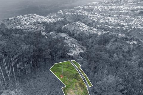Helårsgrund i Calheta, Madeira, Calheta - € 325.000 | Ref: KWPT-011911 - foto 4