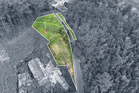 Helårsgrund i Calheta, Madeira, Calheta - € 325.000 | Ref: KWPT-011911 - foto 6