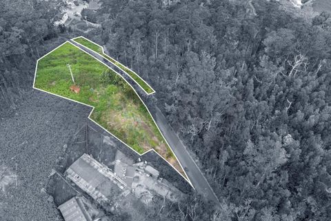 Helårsgrund i Calheta, Madeira, Calheta - € 325.000 | Ref: KWPT-011911 - foto 8