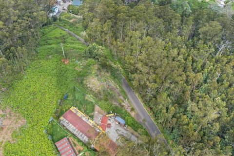 Helårsgrund i Calheta, Madeira, Calheta - € 325.000 | Ref: KWPT-011911 - foto 9