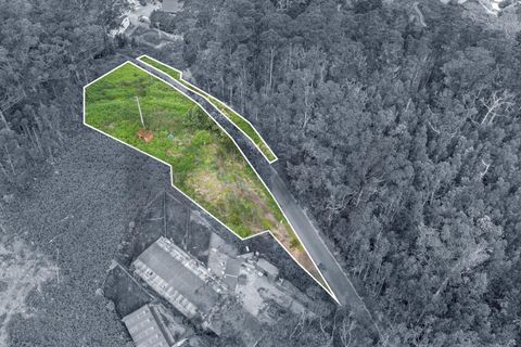Helårsgrund i Calheta, Madeira, Calheta - € 325.000 | Ref: KWPT-011911 - foto 10