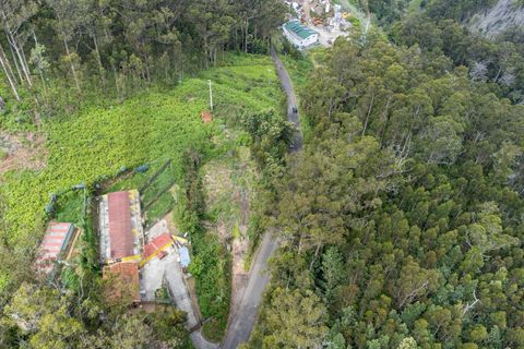 Helårsgrund i Calheta, Madeira, Calheta - € 325.000 | Ref: KWPT-011911 - foto 11