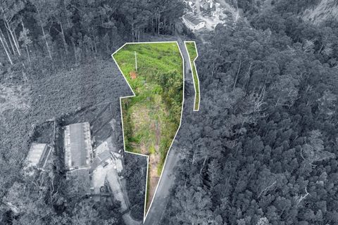 Helårsgrund i Calheta, Madeira, Calheta - € 325.000 | Ref: KWPT-011911 - foto 12