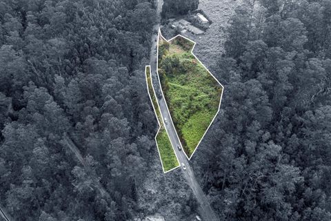 Helårsgrund i Calheta, Madeira, Calheta - € 325.000 | Ref: KWPT-011911 - foto 16