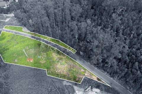 Helårsgrund i Calheta, Madeira, Calheta - € 325.000 | Ref: KWPT-011911 - foto 21