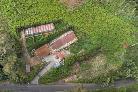 Helårsgrund i Calheta, Madeira, Calheta - € 325.000 | Ref: KWPT-011911 - foto 22