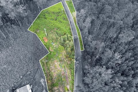 Helårsgrund i Calheta, Madeira, Calheta - € 325.000 | Ref: KWPT-011911 - foto 25