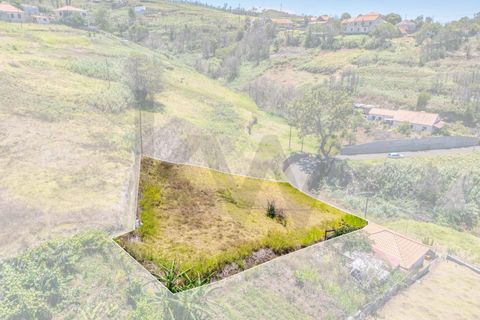 Helårsgrund i Calheta, Madeira, Calheta - € 79.500 | Ref: KWPT-016646 - foto 7