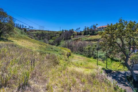 Helårsgrund i Calheta, Madeira, Calheta - € 79.500 | Ref: KWPT-016646 - foto 20