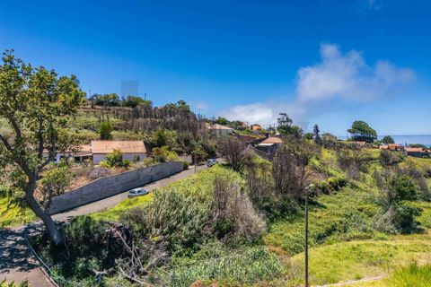 Helårsgrund i Calheta, Madeira, Calheta - € 79.500 | Ref: KWPT-016646 - foto 21