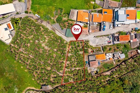 Helårsgrund i Ribeira Brava, Madeira, Ribeira Brava - € 85.000 | Ref: KWPT-016326 - foto 1