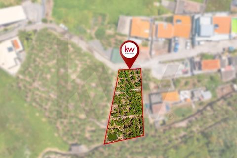 Helårsgrund i Ribeira Brava, Madeira, Ribeira Brava - € 85.000 | Ref: KWPT-016326 - foto 3