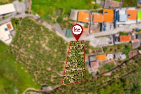 Helårsgrund i Ribeira Brava, Madeira, Ribeira Brava - € 85.000 | Ref: KWPT-016326 - foto 4