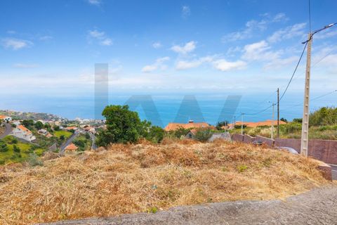 Helårsgrund i Calheta, Madeira, Calheta - € 285.000 | Ref: KWPT-018461 - foto 7