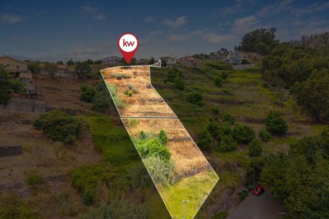 Helårsgrund i Calheta, Madeira, Calheta - € 285.000 | Ref: KWPT-018461 - foto 16