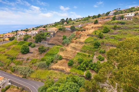 Helårsgrund i Calheta, Madeira, Calheta - € 285.000 | Ref: KWPT-018461 - foto 17