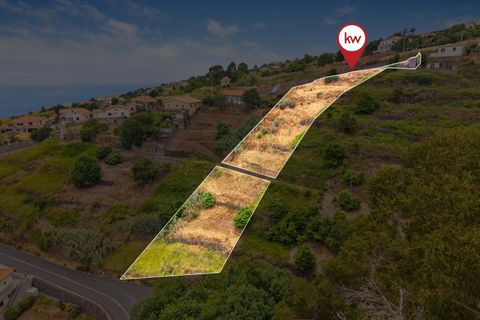 Helårsgrund i Calheta, Madeira, Calheta - € 285.000 | Ref: KWPT-018461 - foto 18