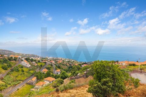Helårsgrund i Calheta, Madeira, Calheta - € 285.000 | Ref: KWPT-018461 - foto 21