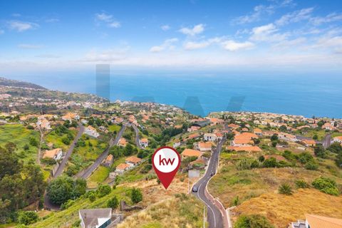 Helårsgrund i Calheta, Madeira, Calheta - € 285.000 | Ref: KWPT-018461 - foto 22
