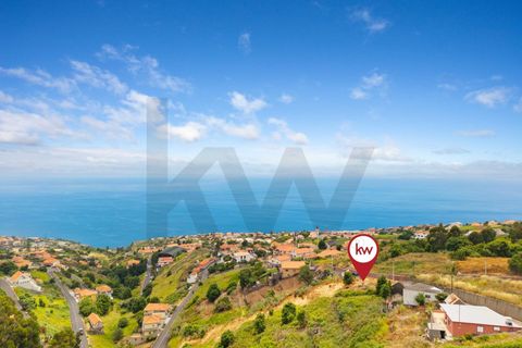 Helårsgrund i Calheta, Madeira, Calheta - € 285.000 | Ref: KWPT-018461 - foto 23